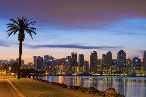 San Diego downtown skyline and palm tree at dawn