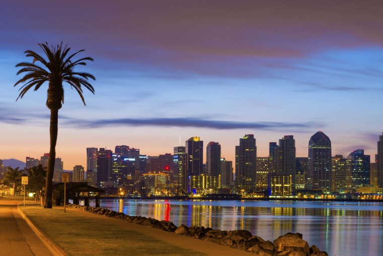 San Diego downtown skyline and palm tree at dawn - KPI Logistics