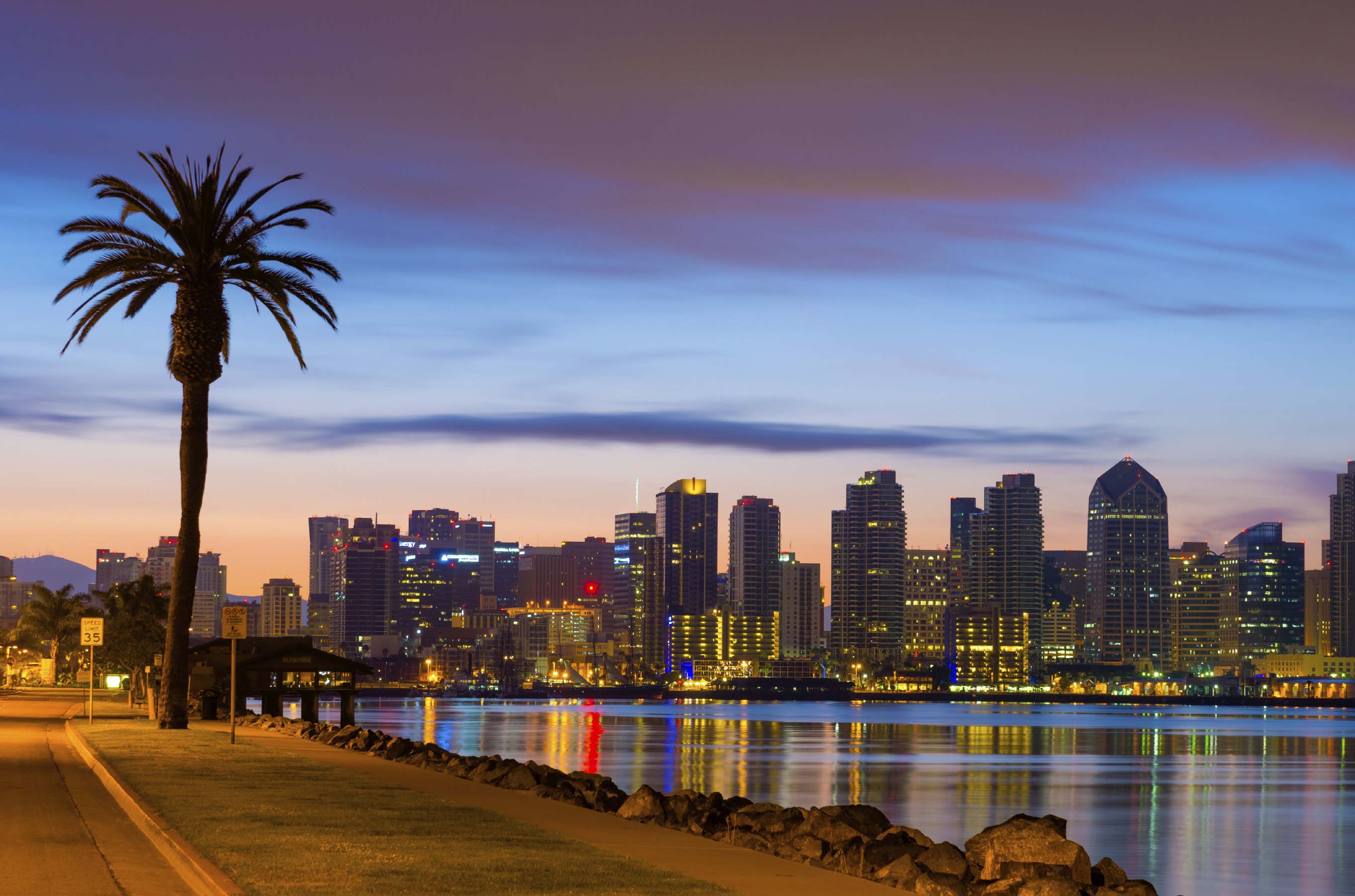 San Diego Skyline Tattoo with Palm Trees - wide 2
